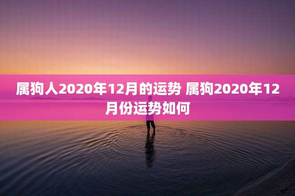 属狗人2020年12月的运势 属狗2020年12月份运势如何