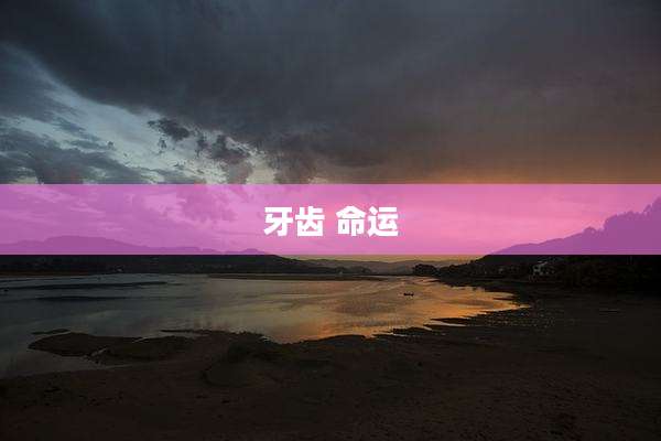 牙齿 命运