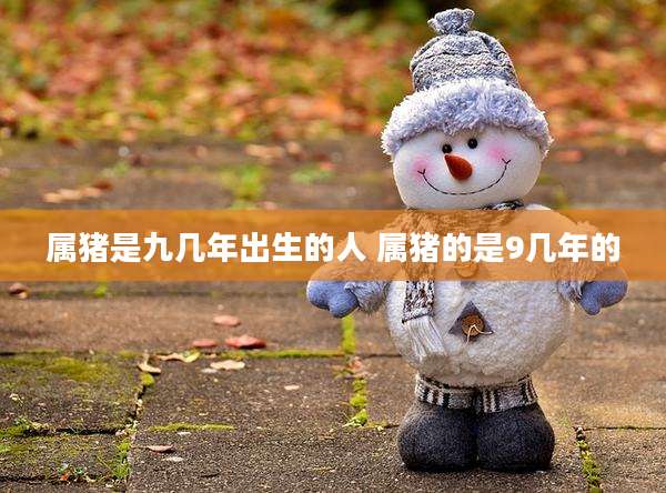属猪是九几年出生的人 属猪的是9几年的