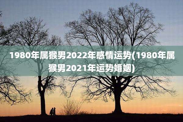 1980年属猴男2022年感情运势(1980年属猴男2021年运势婚姻)