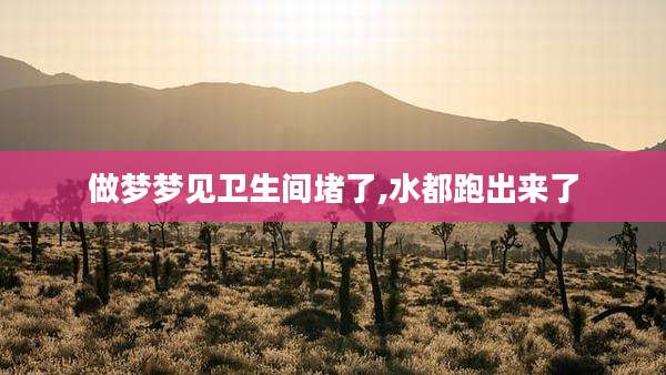 做梦梦见卫生间堵了,水都跑出来了