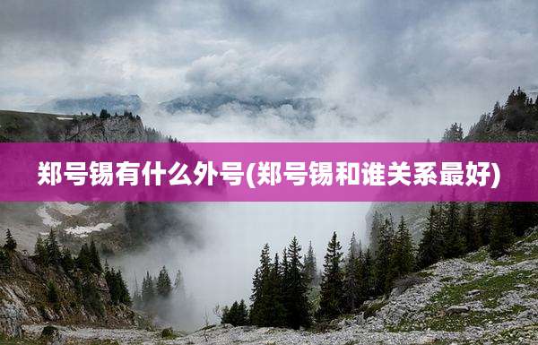 郑号锡有什么外号(郑号锡和谁关系最好)