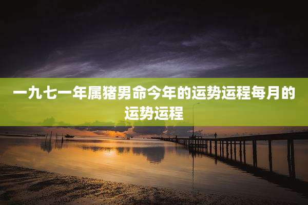 一九七一年属猪男命今年的运势运程每月的运势运程