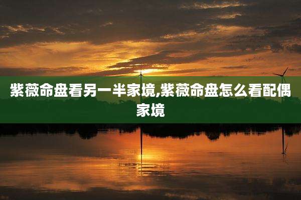 紫薇命盘看另一半家境,紫薇命盘怎么看配偶家境