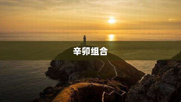 辛卯组合