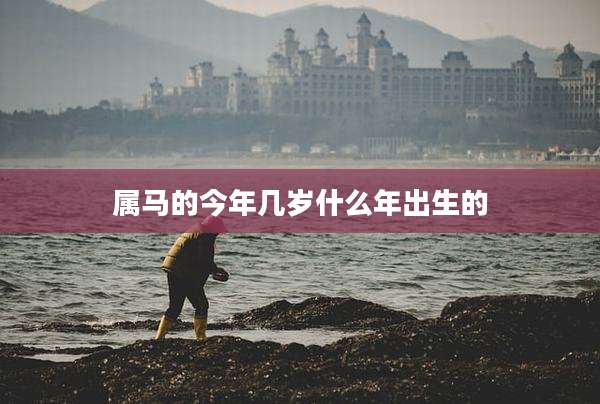 属马的今年几岁什么年出生的