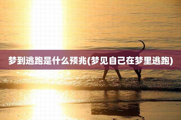 梦到逃跑是什么预兆(梦见自己在梦里逃跑)