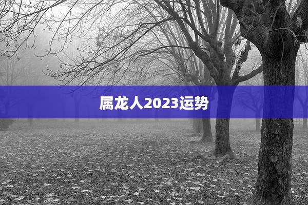 属龙人2023运势