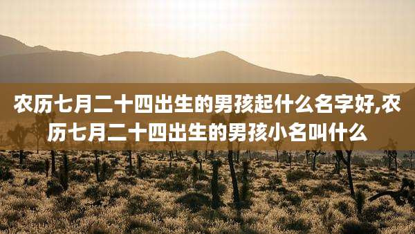农历七月二十四出生的男孩起什么名字好,农历七月二十四出生的男孩小名叫什么