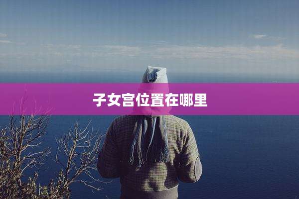 子女宫位置在哪里
