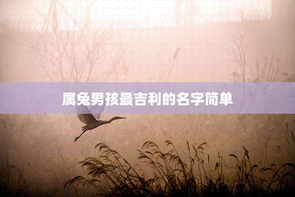 属兔男孩最吉利的名字简单