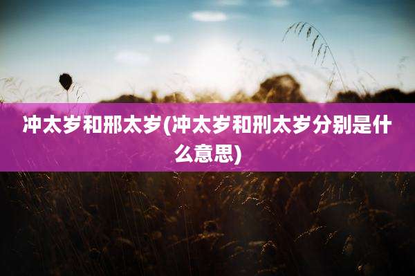 冲太岁和邢太岁(冲太岁和刑太岁分别是什么意思)