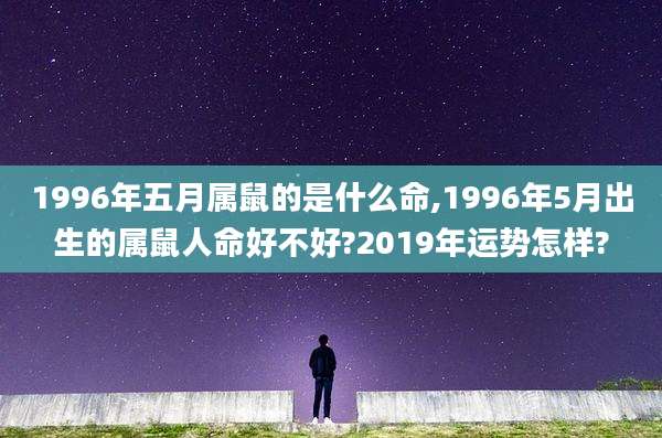 1996年五月属鼠的是什么命,1996年5月出生的属鼠人命好不好?2019年运势怎样?