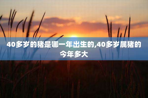 40多岁的猪是哪一年出生的,40多岁属猪的今年多大