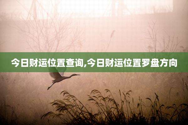 今日财运位置查询,今日财运位置罗盘方向