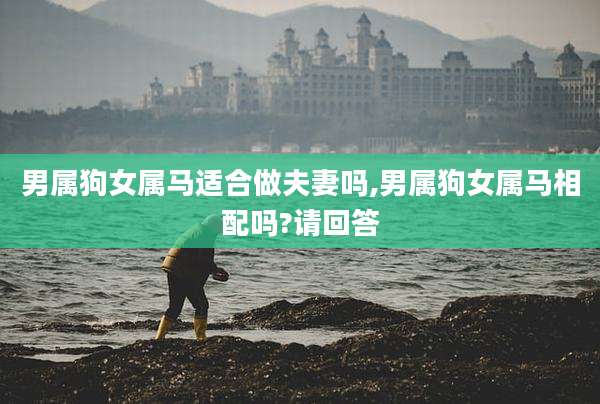 男属狗女属马适合做夫妻吗,男属狗女属马相配吗?请回答