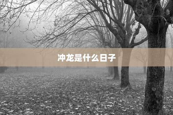 冲龙是什么日子