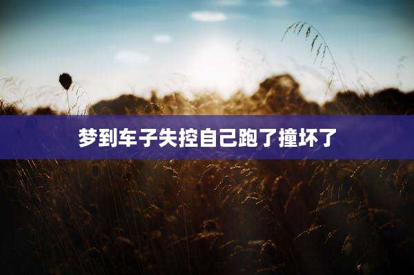 梦到车子失控自己跑了撞坏了