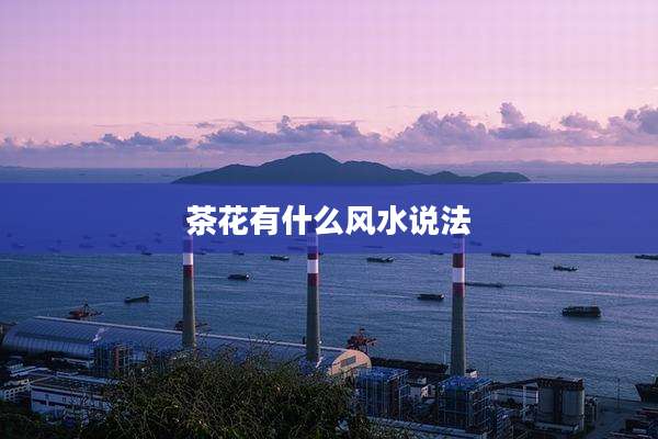 茶花有什么风水说法