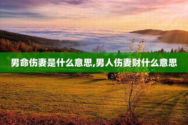 男命伤妻是什么意思,男人伤妻财什么意思