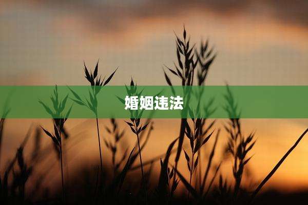 婚姻违法