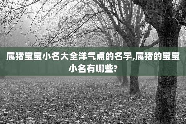 属猪宝宝小名大全洋气点的名字,属猪的宝宝小名有哪些?