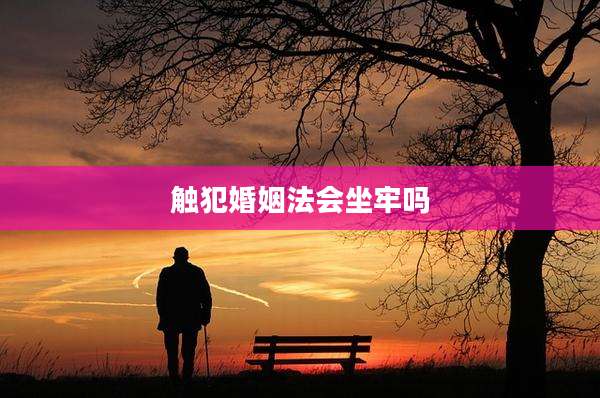 触犯婚姻法会坐牢吗