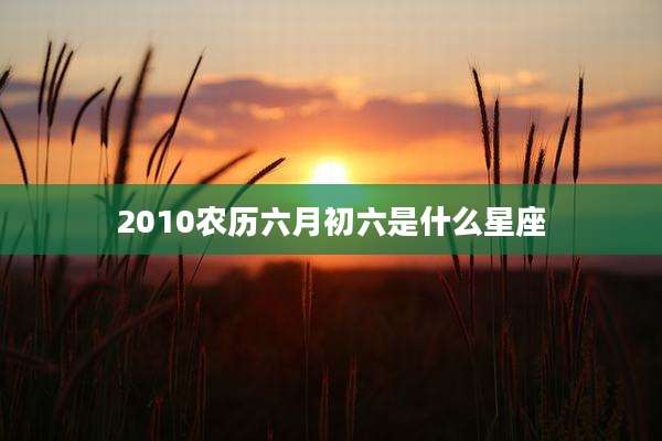 2010农历六月初六是什么星座