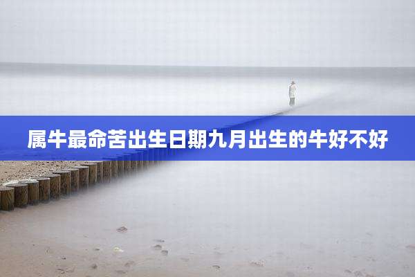 属牛最命苦出生日期九月出生的牛好不好