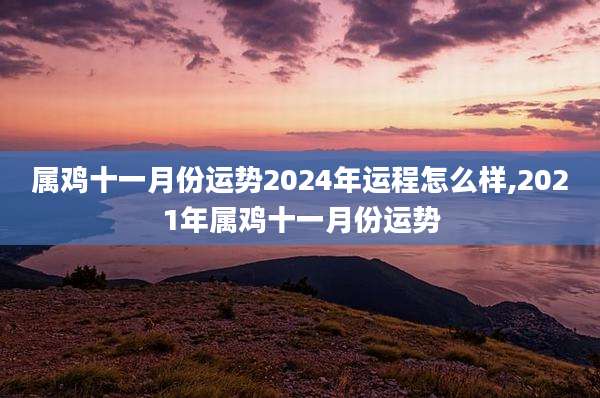 属鸡十一月份运势2024年运程怎么样,2021年属鸡十一月份运势