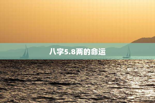 八字5.8两的命运