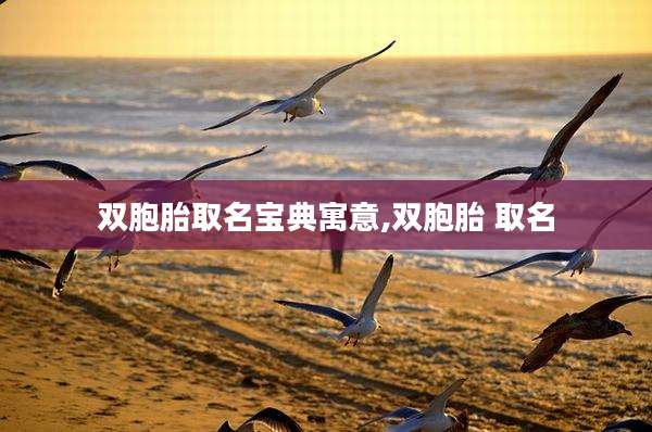 双胞胎取名宝典寓意,双胞胎 取名