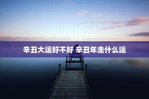 辛丑大运好不好 辛丑年走什么运