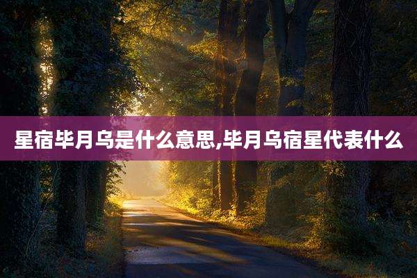 星宿毕月乌是什么意思,毕月乌宿星代表什么