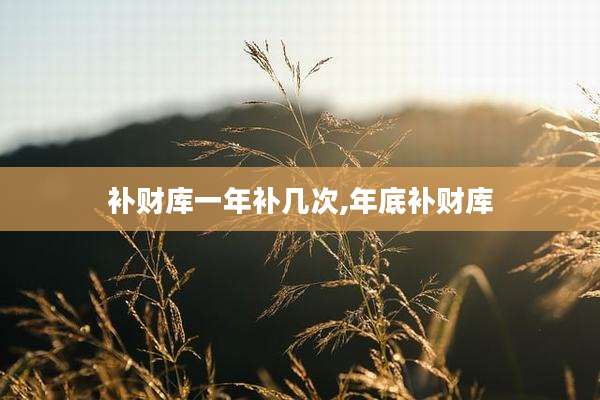 补财库一年补几次,年底补财库