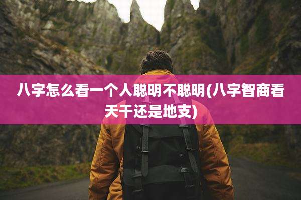 八字怎么看一个人聪明不聪明(八字智商看天干还是地支)