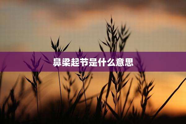 鼻梁起节是什么意思