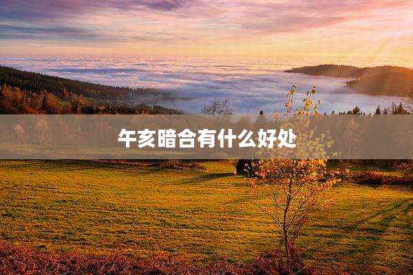 午亥暗合有什么好处