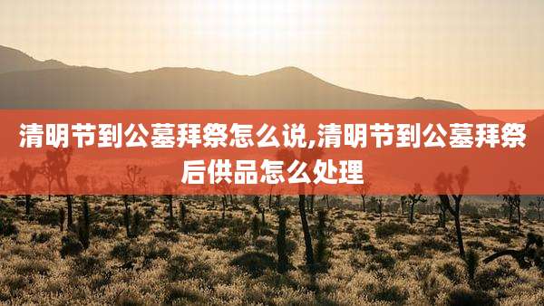 清明节到公墓拜祭怎么说,清明节到公墓拜祭后供品怎么处理