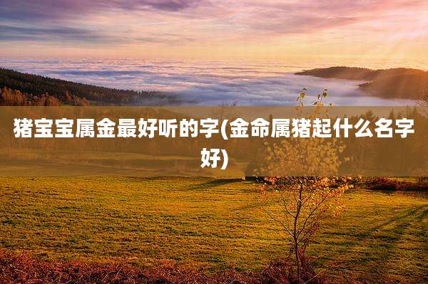 猪宝宝属金最好听的字(金命属猪起什么名字好)