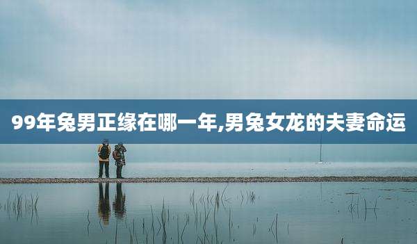 99年兔男正缘在哪一年,男兔女龙的夫妻命运