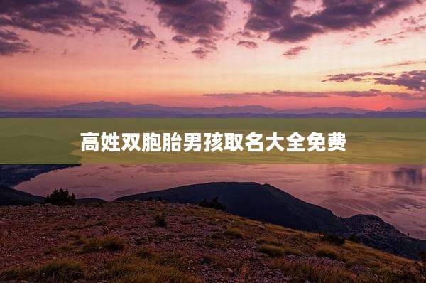 高姓双胞胎男孩取名大全免费