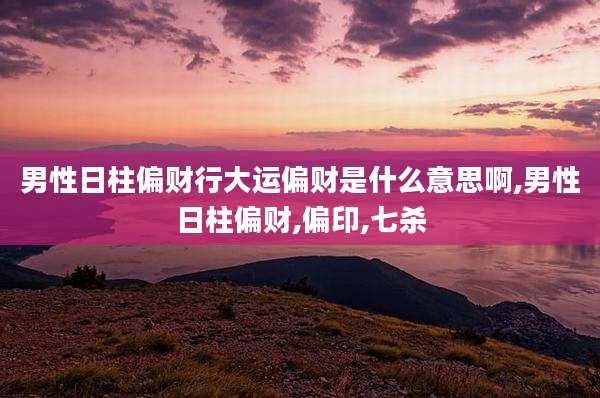 男性日柱偏财行大运偏财是什么意思啊,男性日柱偏财,偏印,七杀