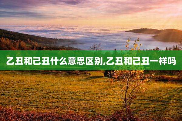 乙丑和己丑什么意思区别,乙丑和己丑一样吗