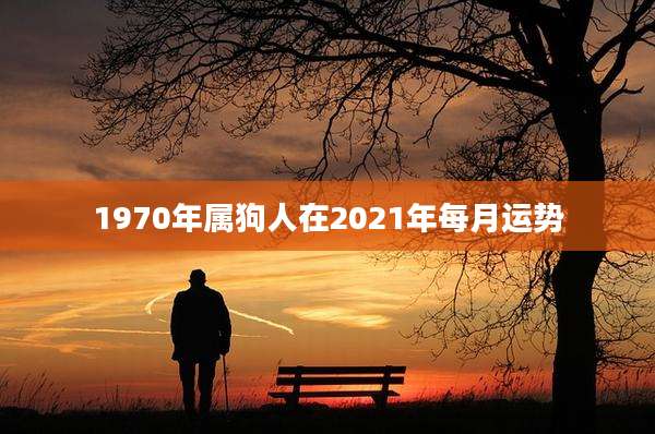 1970年属狗人在2021年每月运势