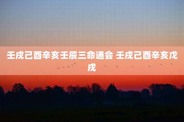 壬戌己酉辛亥壬辰三命通会 壬戌己酉辛亥戊戌