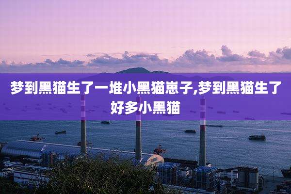 梦到黑猫生了一堆小黑猫崽子,梦到黑猫生了好多小黑猫