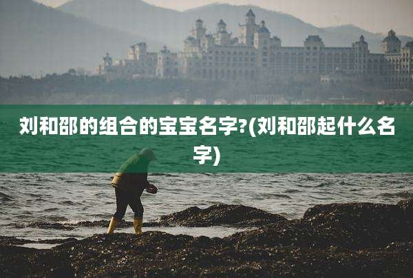刘和邵的组合的宝宝名字?(刘和邵起什么名字)