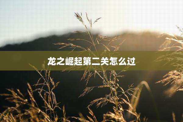 龙之崛起第二关怎么过