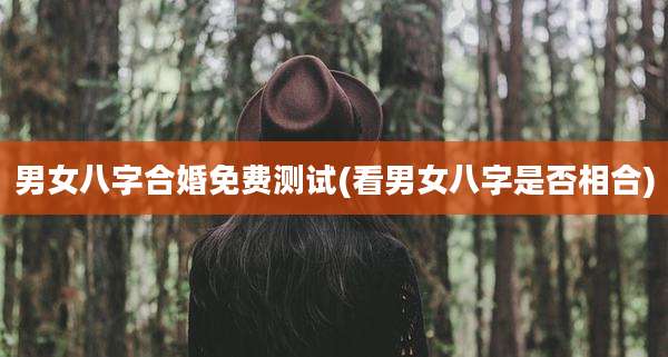 男女八字合婚免费测试(看男女八字是否相合)